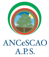 Elearning Ancescao